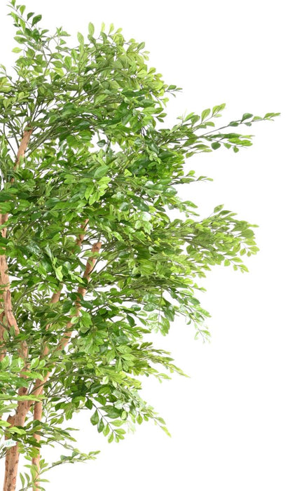Albero Di Acacia Artificiale 5 Tronchi Alto 210 Cm Verde