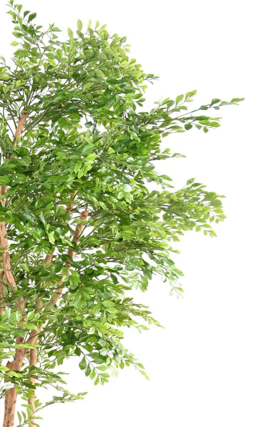 Albero Di Acacia Artificiale 5 Tronchi Alto 210 Cm Verde