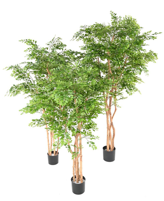 Albero Di Acacia Artificiale 5 Tronchi Alto 210 Cm Verde