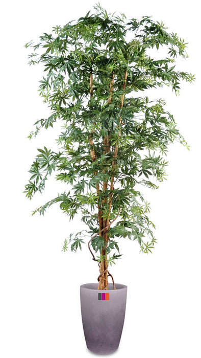 Albero Artificiale Di Aralia 180 Cm Pianta Da Interno Verde