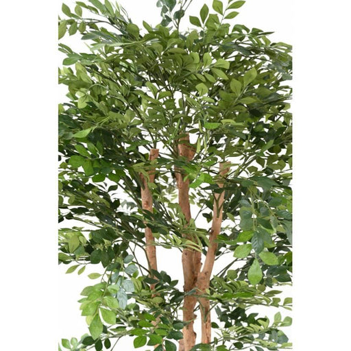 Albero Di Acacia Artificiale 170 Cm Per Interni