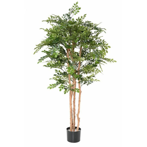 Albero Di Acacia Artificiale 170 Cm Per Interni