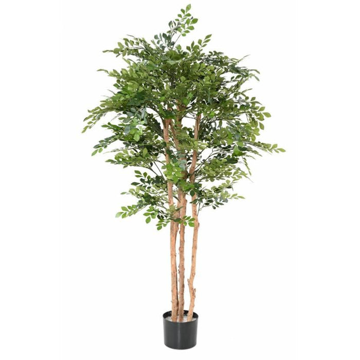 Albero Di Acacia Artificiale 170 Cm Per Interni