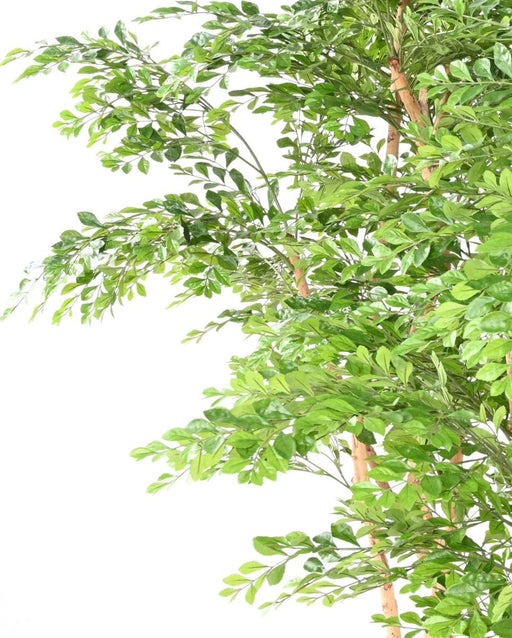 Albero Di Acacia Artificiale 5 Tronchi Da Interno 150Cm