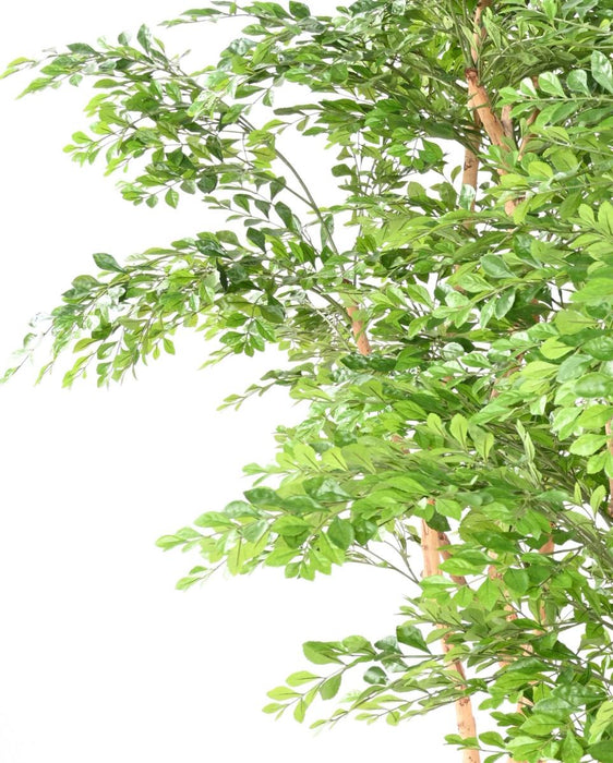 Albero Di Acacia Artificiale 5 Tronchi Da Interno 150Cm