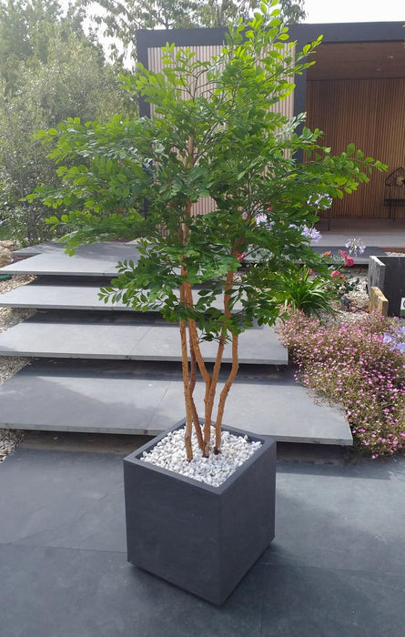 Albero Di Acacia Artificiale 5 Tronchi Da Interno 150Cm