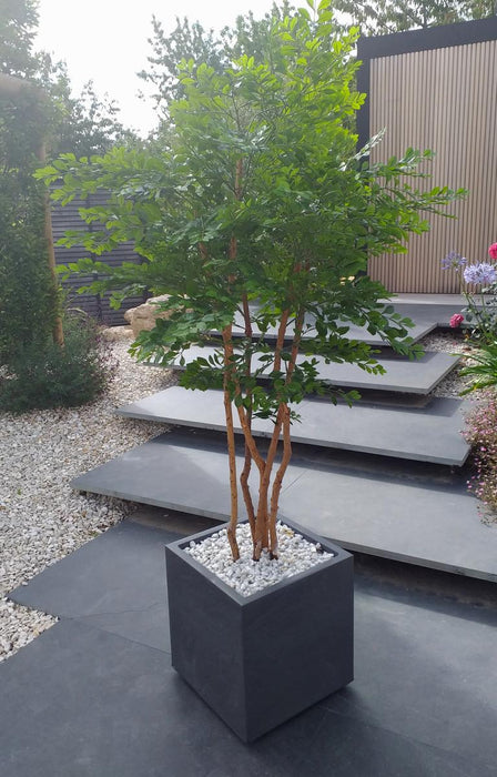 Albero Di Acacia Artificiale 5 Tronchi Da Interno 150Cm