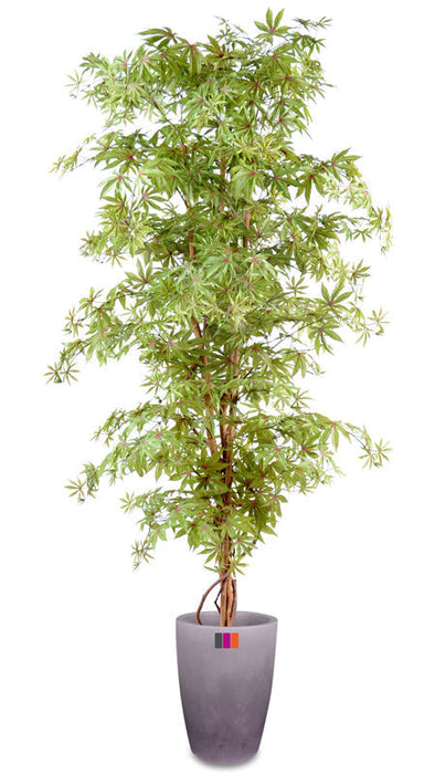 Albero Artificiale Aralia 150Cm Pianta Da Interno