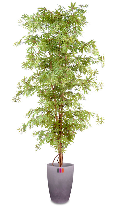 Albero Artificiale Aralia 180Cm Pianta Da Interno Verde Rosso