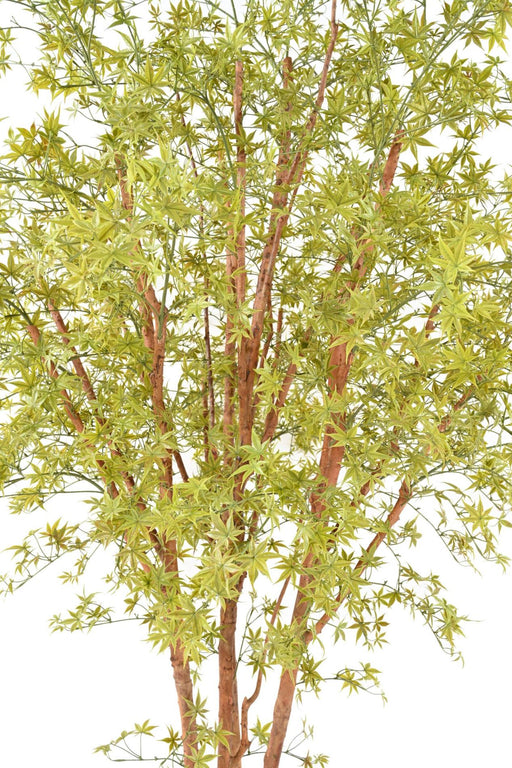 Albero Artificiale Aralia 270 Cm Per Interni Ed Esterni
