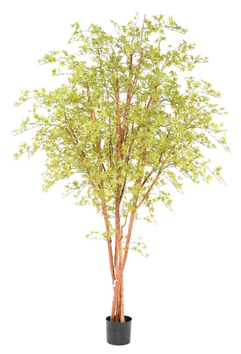 Albero Artificiale Aralia 270 Cm Per Interni Ed Esterni