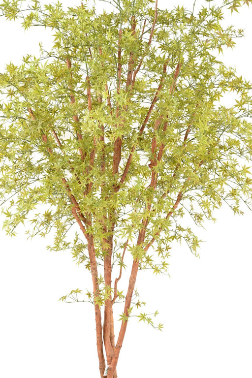 Albero Artificiale Aralia 270 Cm Per Interni Ed Esterni