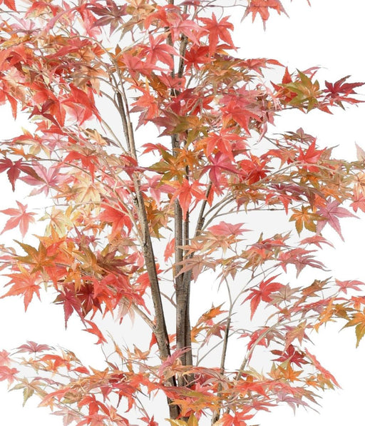Aralia Autunno Albero Artificiale 175 Cm Per Interni
