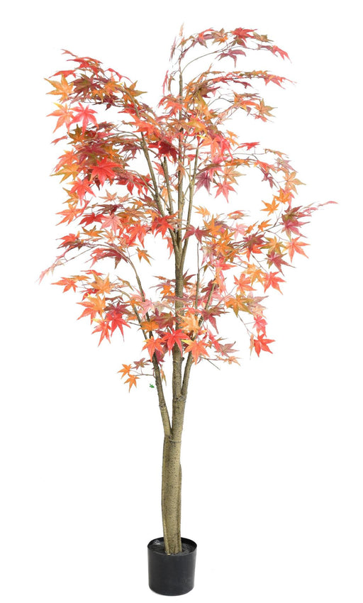 Aralia Autunno Albero Artificiale 175 Cm Per Interni