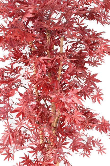Albero Artificiale Aralia Rosso H.160Cm Per Interni