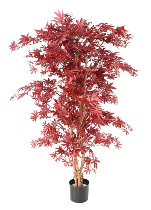 Albero Artificiale Aralia Rosso H.160Cm Per Interni