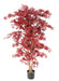 Albero Artificiale Aralia Rosso H.160Cm Per Interni