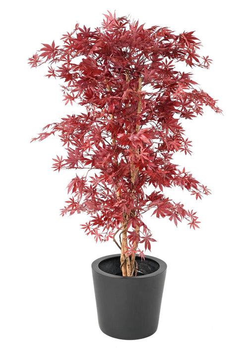 Albero Artificiale Aralia Rosso H.160Cm Per Interni