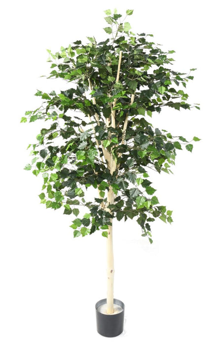 Betulla Artificiale 170 Cm Per Decorazione D'interni