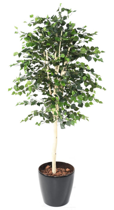 Betulla Artificiale 170 Cm Per Decorazione D'interni