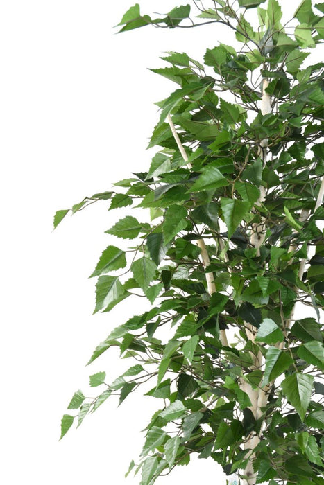 Decorazione Interna Di Betulla Artificiale 180 Cm