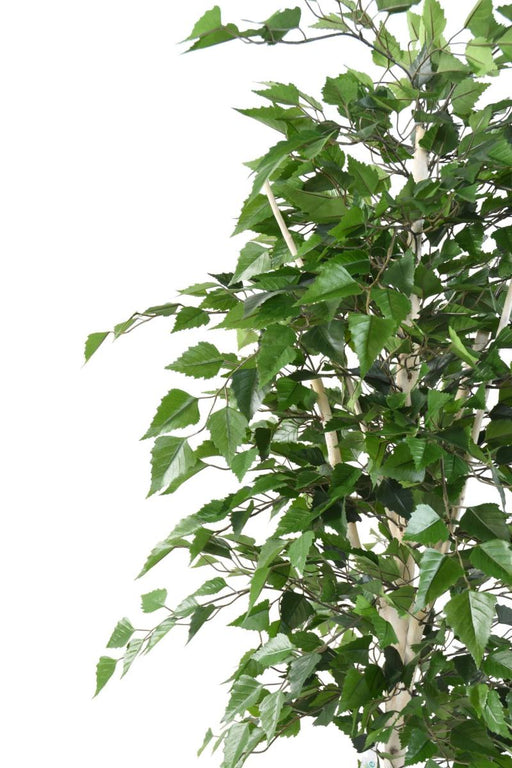 Decorazione Interna Di Betulla Artificiale 180 Cm