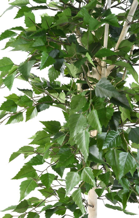 Decorazione Interna Di Betulla Artificiale 180 Cm