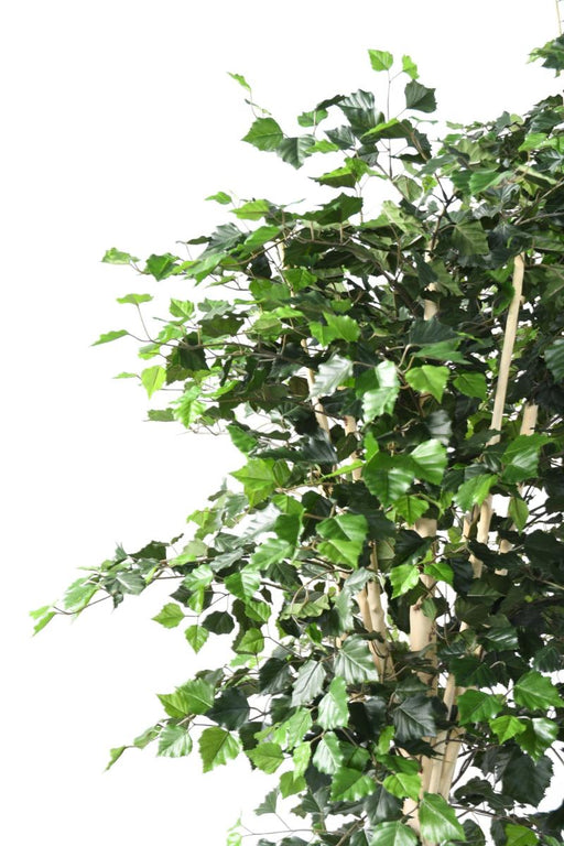 Decorazione D'interni Di Betulla Artificiale 210 Cm