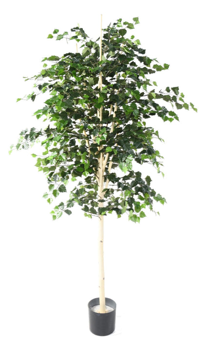 Decorazione D'interni Di Betulla Artificiale 210 Cm