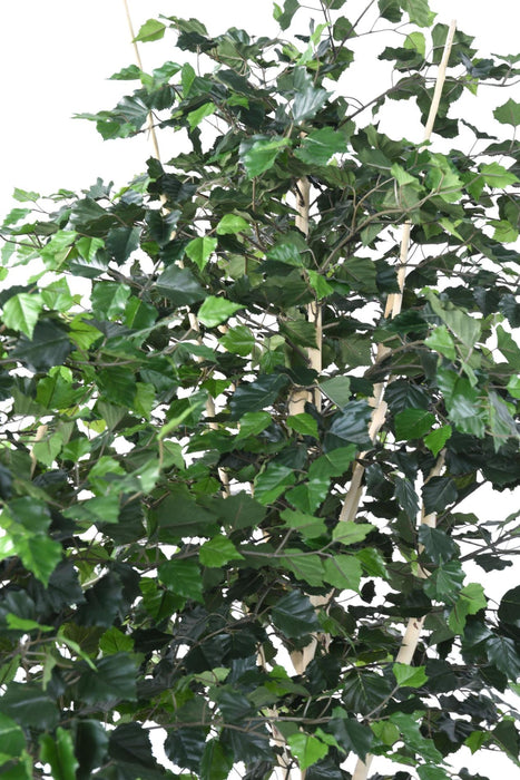 Decorazione D'interni Di Betulla Artificiale 210 Cm