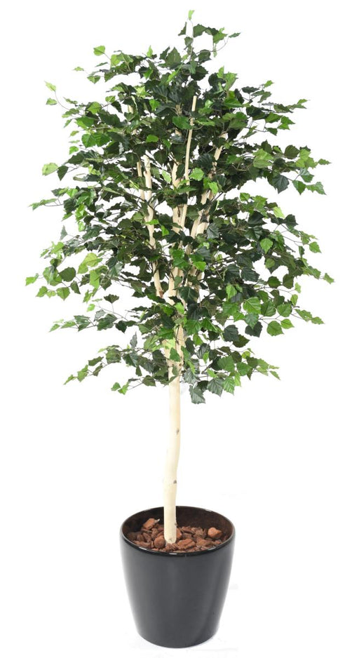 Decorazione D'interni Di Betulla Artificiale 210 Cm