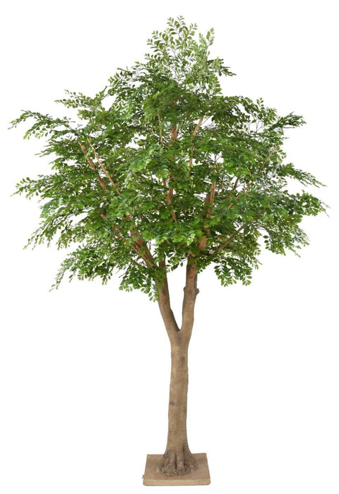 Albero Artificiale Bucida 300Cm Per Decorazione Interni