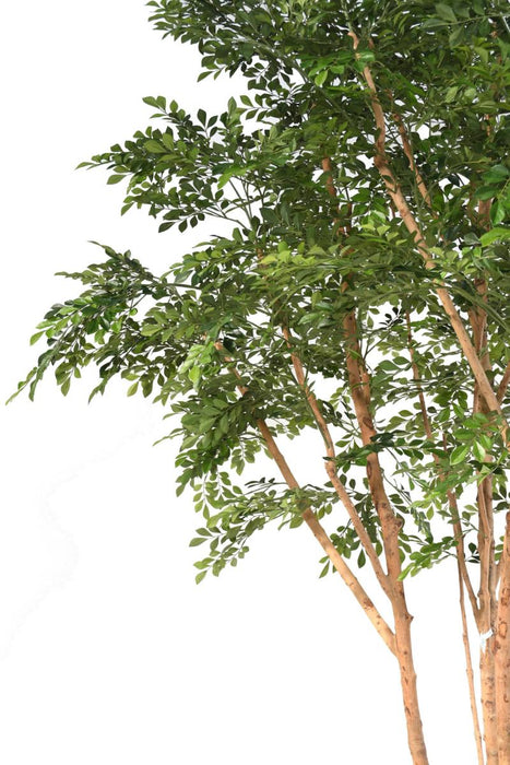 Albero Artificiale Bucida 330 Cm Decorazione Interni