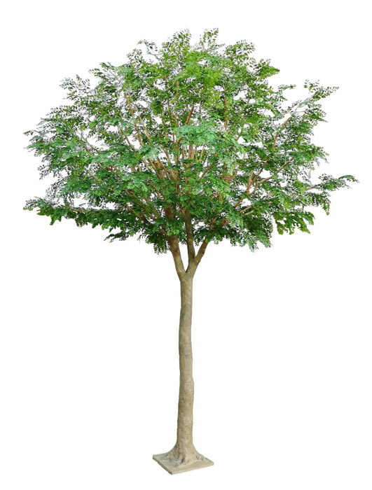 Albero Artificiale Bucida 450Cm Per Decorazione Interni