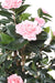 Albero Artificiale Camelia Japonica 12 Fiori 160 Cm