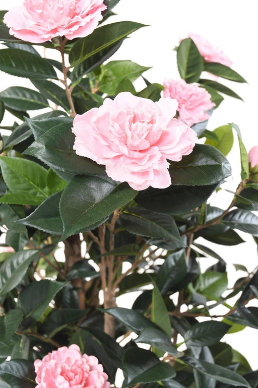 Albero Artificiale Camelia Japonica 12 Fiori 160 Cm