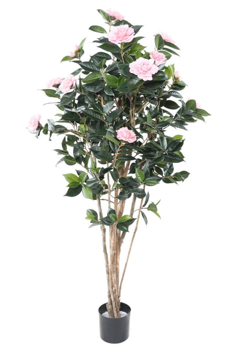 Albero Artificiale Camelia Japonica 12 Fiori 160 Cm