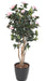 Albero Artificiale Camelia Japonica 12 Fiori 160 Cm