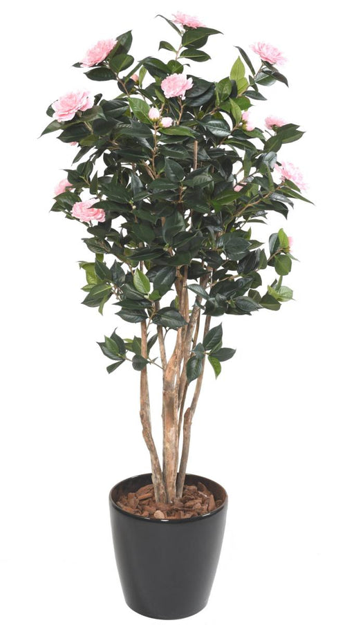 Albero Artificiale Camelia Japonica 12 Fiori 160 Cm