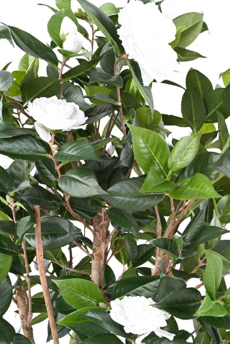 Albero Artificiale Di Camelia Japonica 12 Fiori 160 Cm