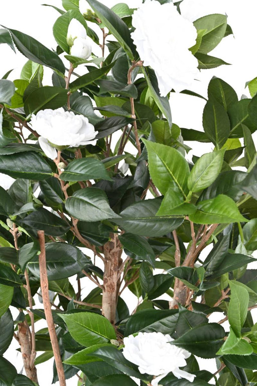 Albero Artificiale Di Camelia Japonica 12 Fiori 160 Cm