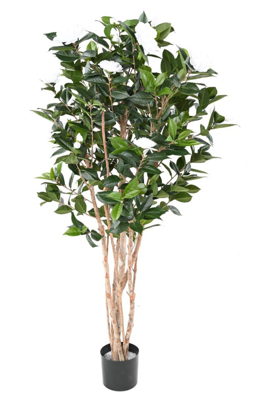 Albero Artificiale Di Camelia Japonica 12 Fiori 160 Cm