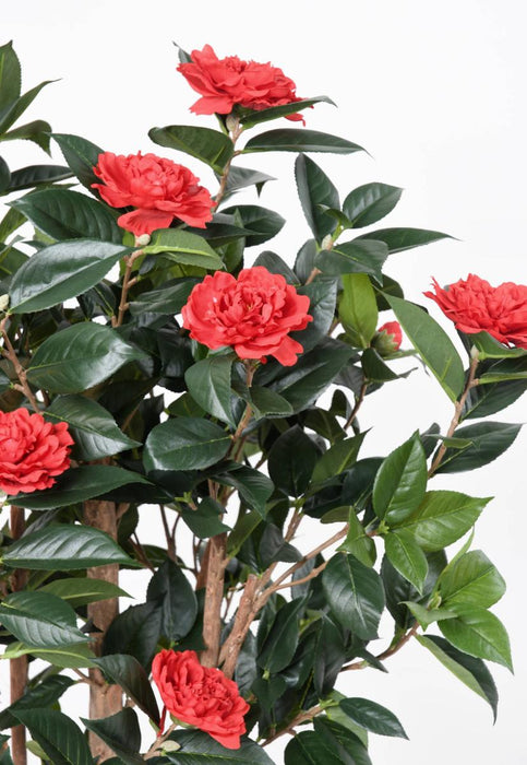 Albero Artificiale Di Camelia Japonica 130 Cm Rosso