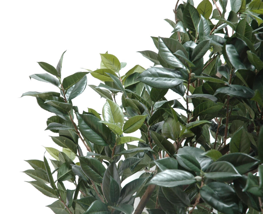 Albero Artificiale Di Camelia Japonica 300 Cm Decorazione D'interni