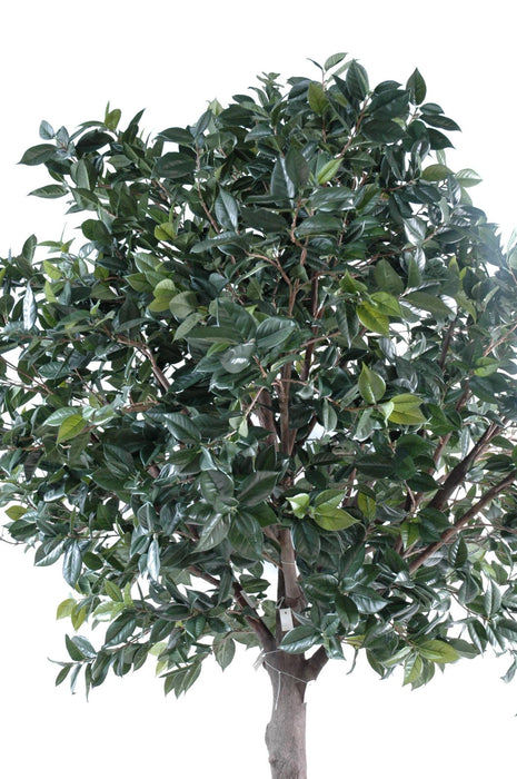 Albero Artificiale Di Camelia Japonica 300 Cm Decorazione D'interni