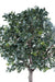 Albero Artificiale Di Camelia Japonica 300 Cm Decorazione D'interni