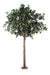 Albero Artificiale Di Camelia Japonica 300 Cm Decorazione D'interni