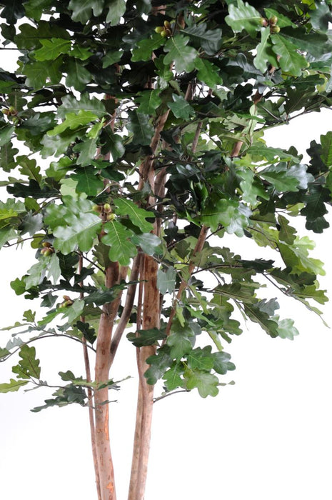 Quercia Artificiale 230 Cm Per Decorazione D'interni