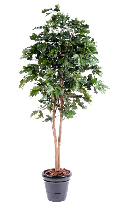 Quercia Artificiale 230 Cm Per Decorazione D'interni
