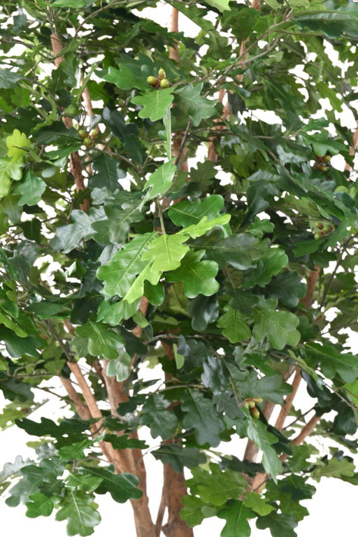 Decorazione Per Interni In Quercia Artificiale 280 Cm